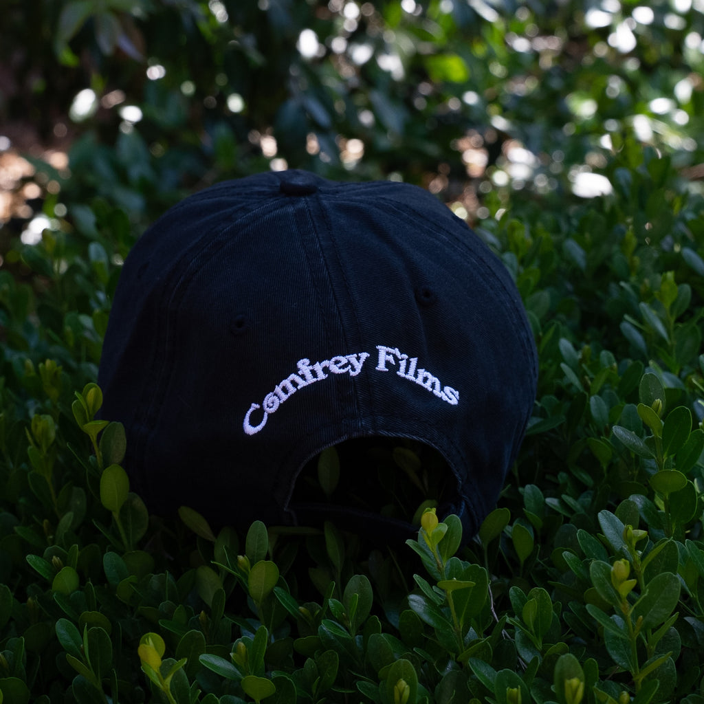 BTSFF Dad Hat
